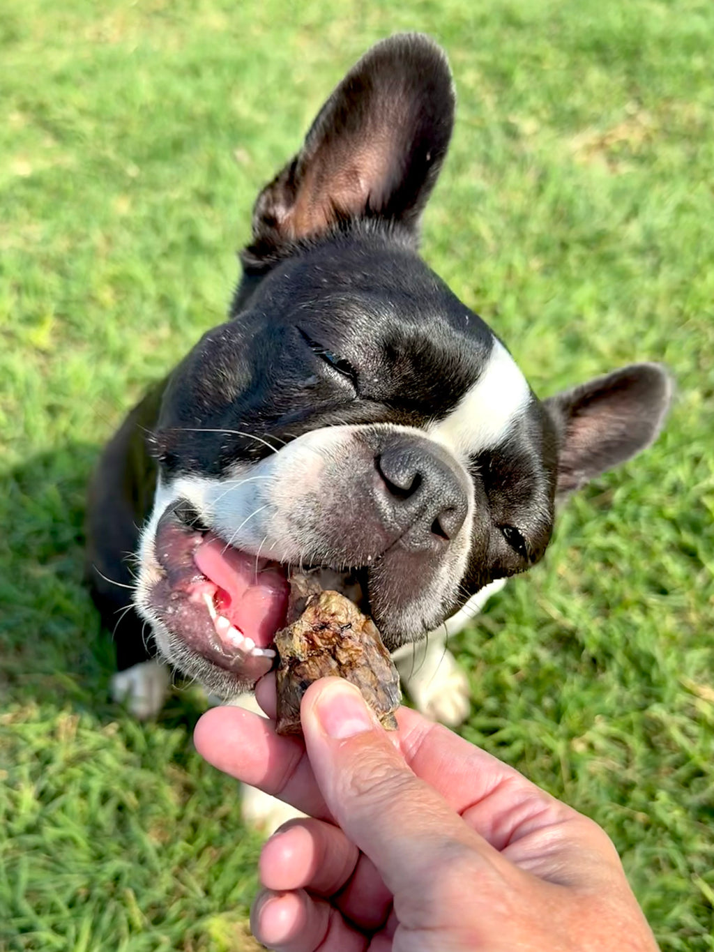 Huff N Puff Bites