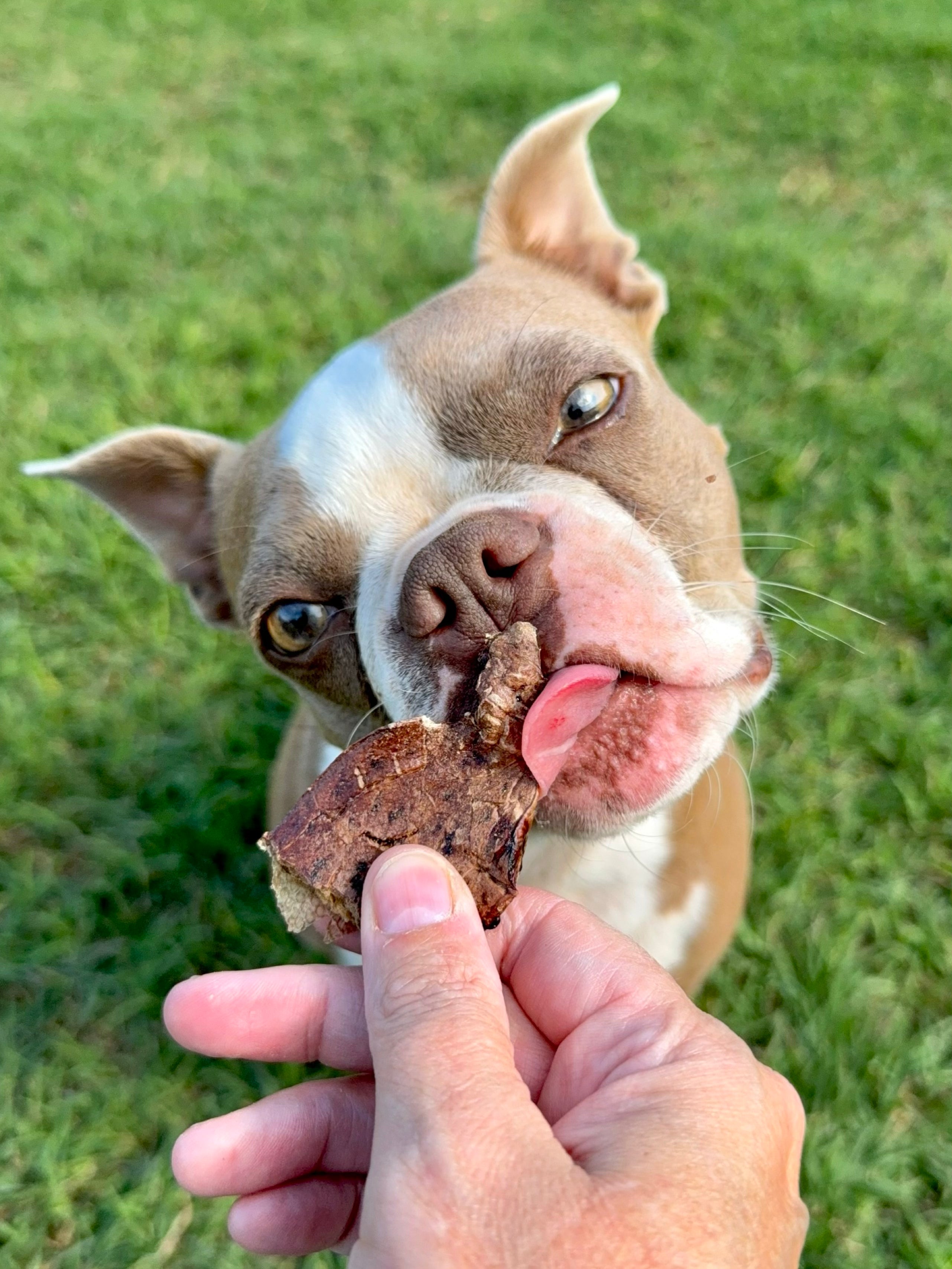 Huff N Puff Bites